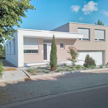 Zimmer In Zoschen Exteriör bild